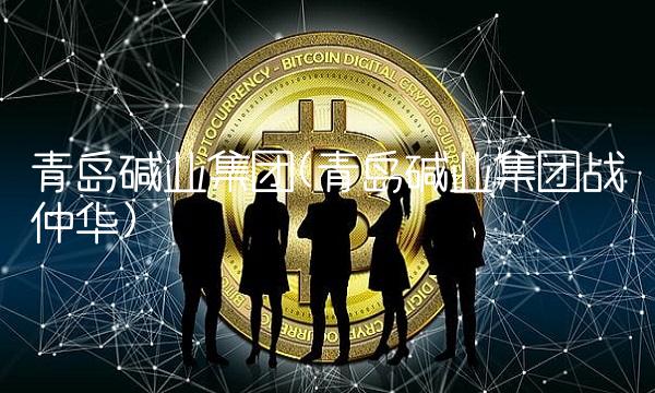 青岛碱业集团(青岛碱业集团战仲华)
