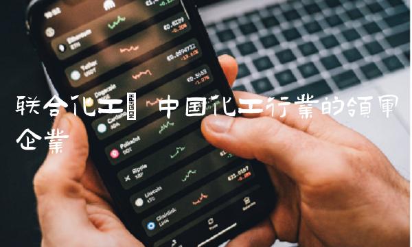 联合化工 中国化工行业的领军企业