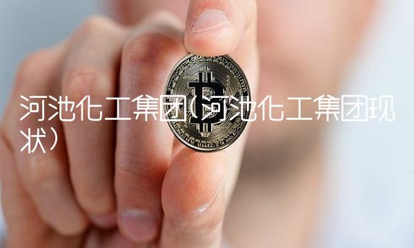 河池化工集团(河池化工集团现状)