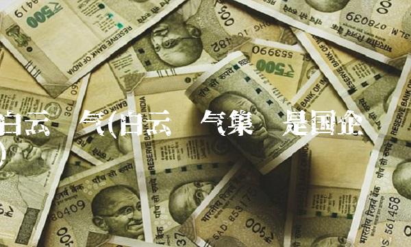 白云电气(白云电气集团是国企吗)