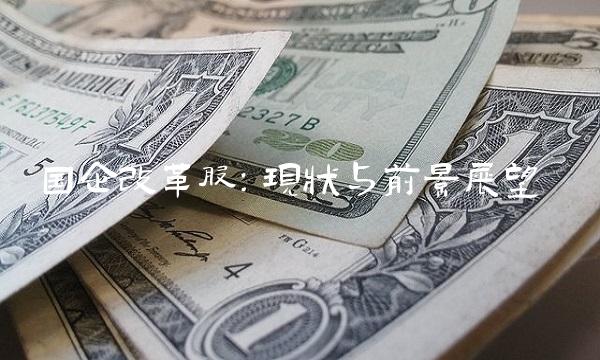 国企改革股：现状与前景展望