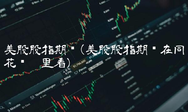 美股股指期货(美股股指期货在同花顺哪里看)