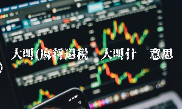 查大叫(麻将退税查大叫什么意思)