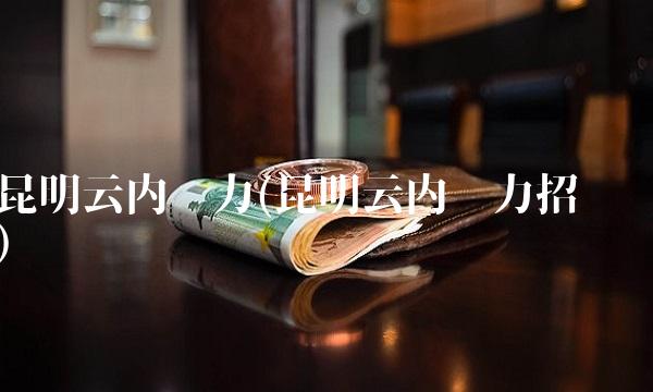 昆明云内动力(昆明云内动力招标)