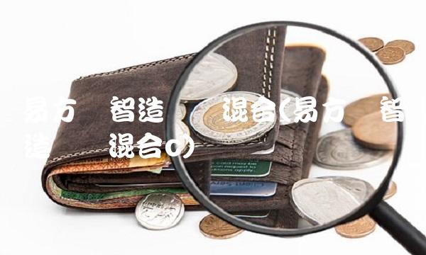 易方达智造优势混合(易方达智造优势混合c)