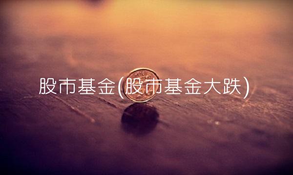 股市基金(股市基金大跌)