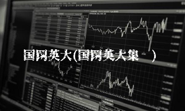 国网英大(国网英大集团)