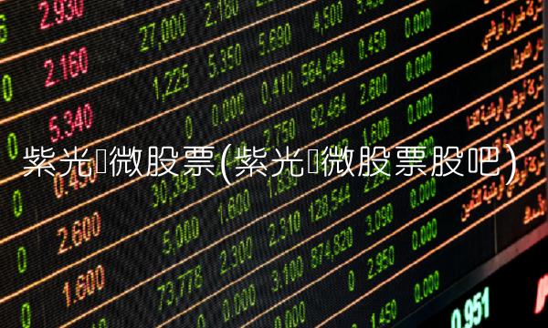 紫光国微股票(紫光国微股票股吧)