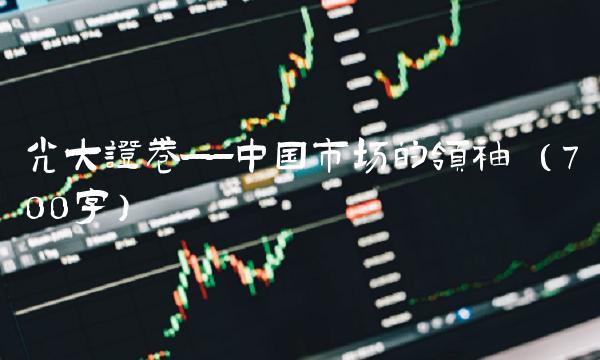 光大证卷——中国市场的领袖 （700字）