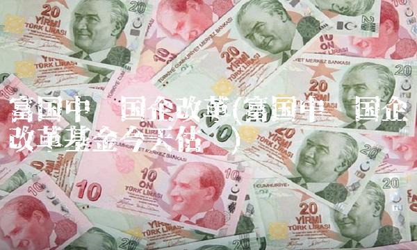 富国中证国企改革(富国中证国企改革基金今天估值)