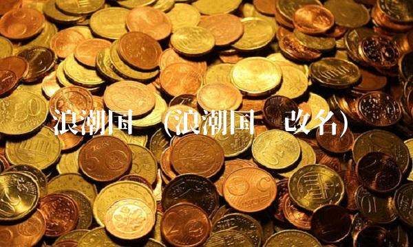 浪潮国际(浪潮国际改名)