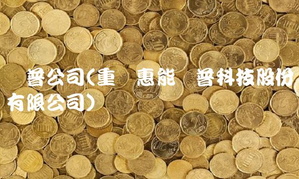 标普公司(重庆惠能标普科技股份有限公司)
