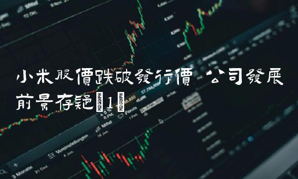 小米股价跌破发行价 公司发展前景存疑(1)