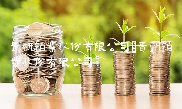 贵研铂业股份有限公司(贵州铂业股份有限公司)