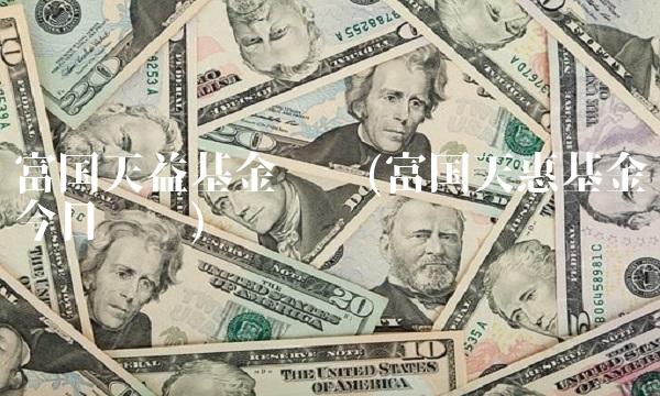 富国天益基金净值(富国天惠基金今日净值)