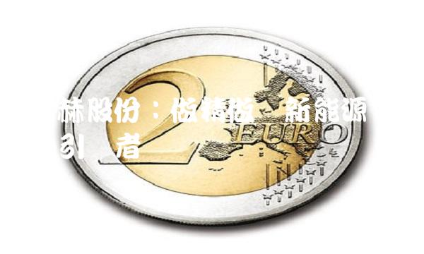 迈赫股份：做精做强新能源产业的引领者