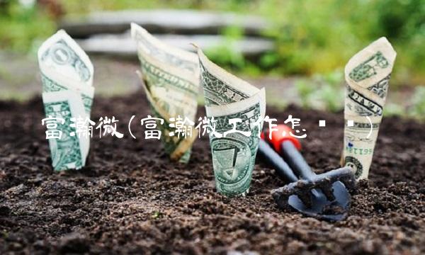富瀚微(富瀚微工作怎么样)