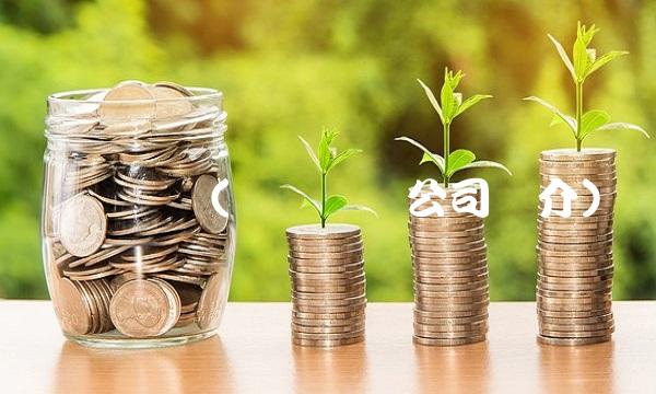 亚钾国际(亚钾国际公司简介)