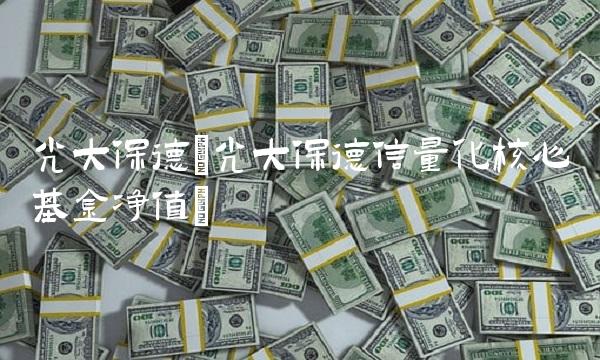 光大保德(光大保德信量化核心基金净值)