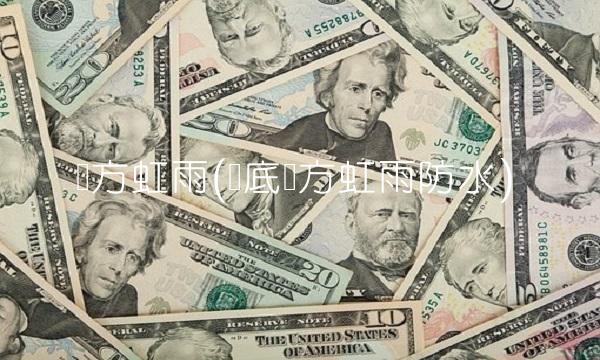 东方虹雨(娄底东方虹雨防水)