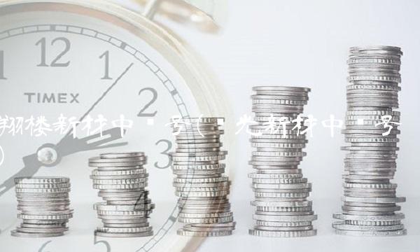 翔楼新材中签号(华光新材中签号)