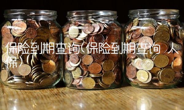 保险到期查询(保险到期查询 人保)