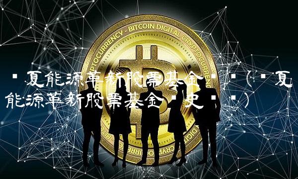 华夏能源革新股票基金净值(华夏能源革新股票基金历史净值)