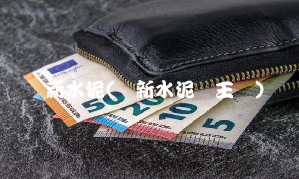 华新水泥(华新水泥厂王总)