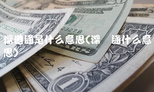 深港通是什么意思(深沪通什么意思)