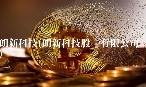 朗新科技(朗新科技股份有限公司)