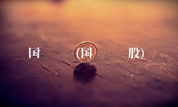 国电转债(国资债转股)