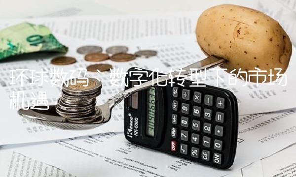 环球数码：数字化转型下的市场机遇