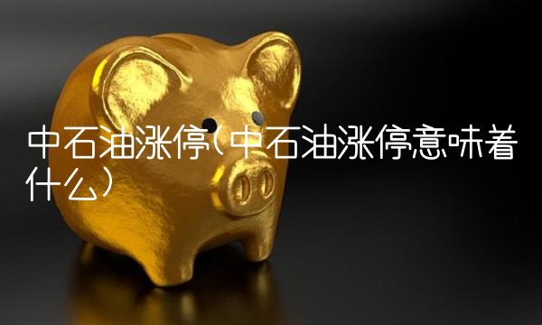 中石油涨停(中石油涨停意味着什么)