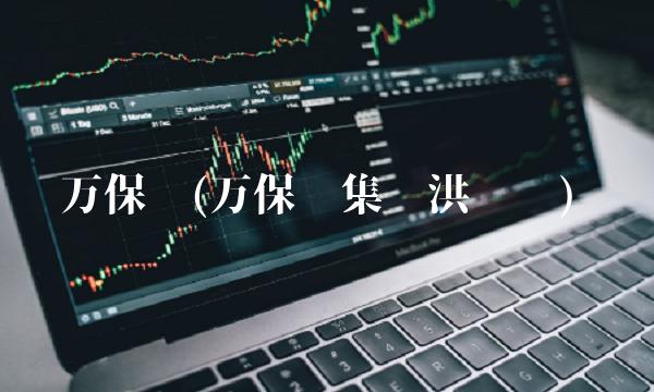 万保刚(万保刚集团洪剑锋)