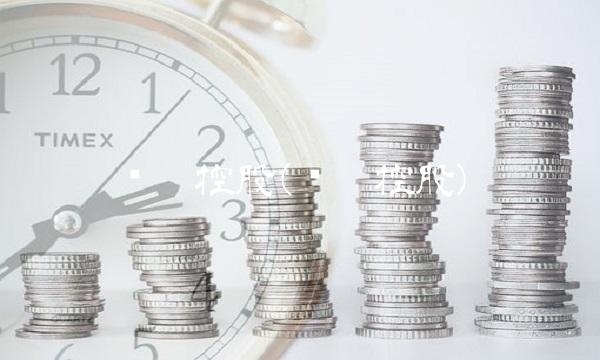 顺丰控股(顺丰控股)