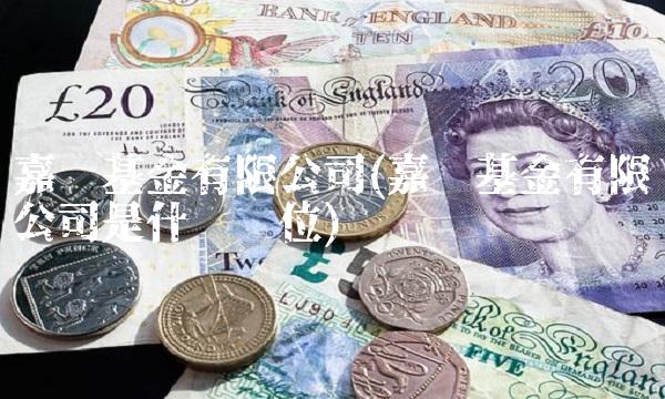 嘉实基金有限公司(嘉实基金有限公司是什么单位)