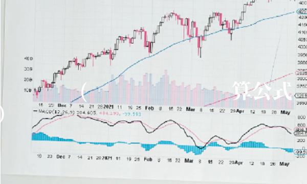 风险资产(风险资产总额计算公式)