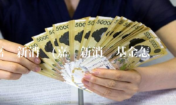 嘉实新消费(嘉实新消费基金怎么样)