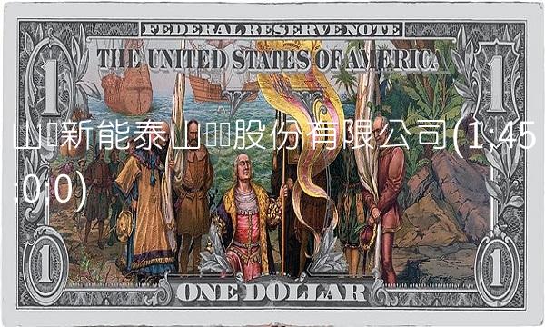 山东新能泰山发电股份有限公司(1;45;0;0)