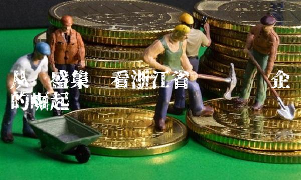 从龙盛集团看浙江省农业龙头企业的崛起