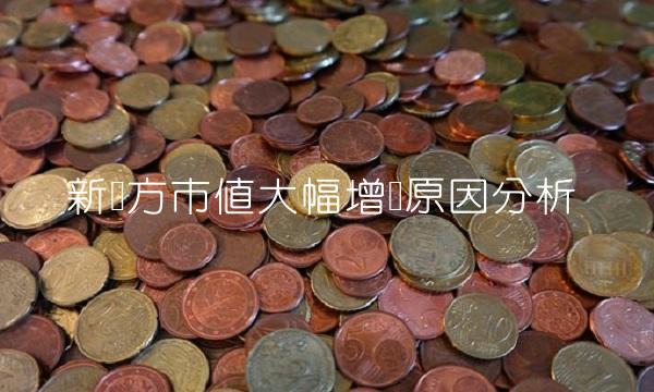 新东方市值大幅增长原因分析