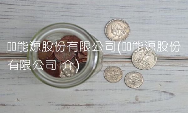 东华能源股份有限公司(东华能源股份有限公司简介)