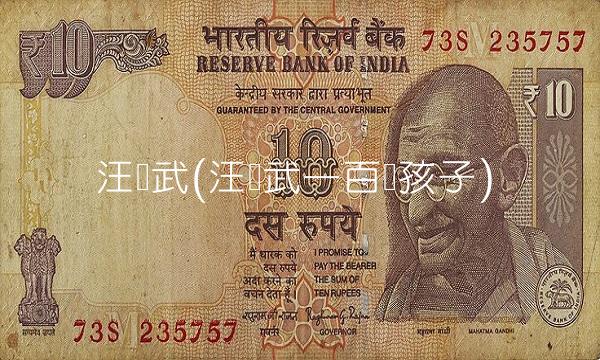 汪辉武(汪辉武一百个孩子)