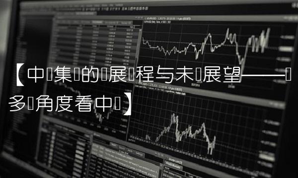 【中鲁集团的发展历程与未来展望——从多个角度看中鲁】