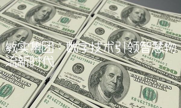 敏实集团：数字技术引领智慧物流新时代