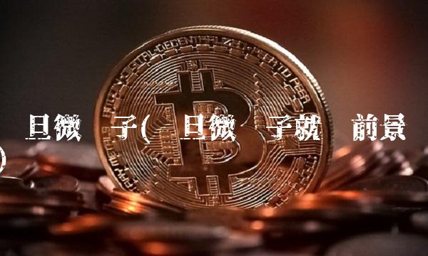 复旦微电子(复旦微电子就业前景)