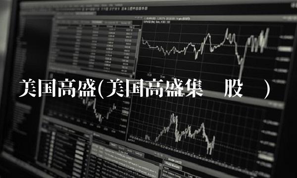 美国高盛(美国高盛集团股东)