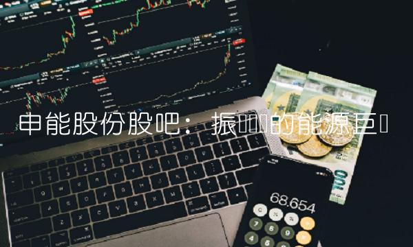 申能股份股吧：振聋发聩的能源巨头