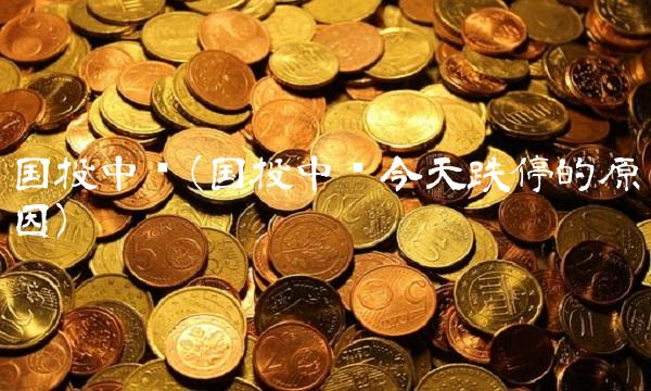国投中鲁(国投中鲁今天跌停的原因)