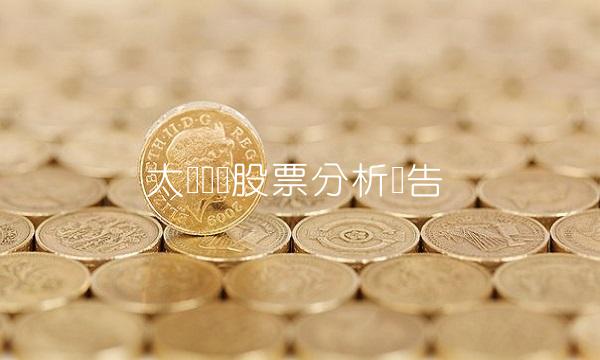 太阳纸业股票分析报告